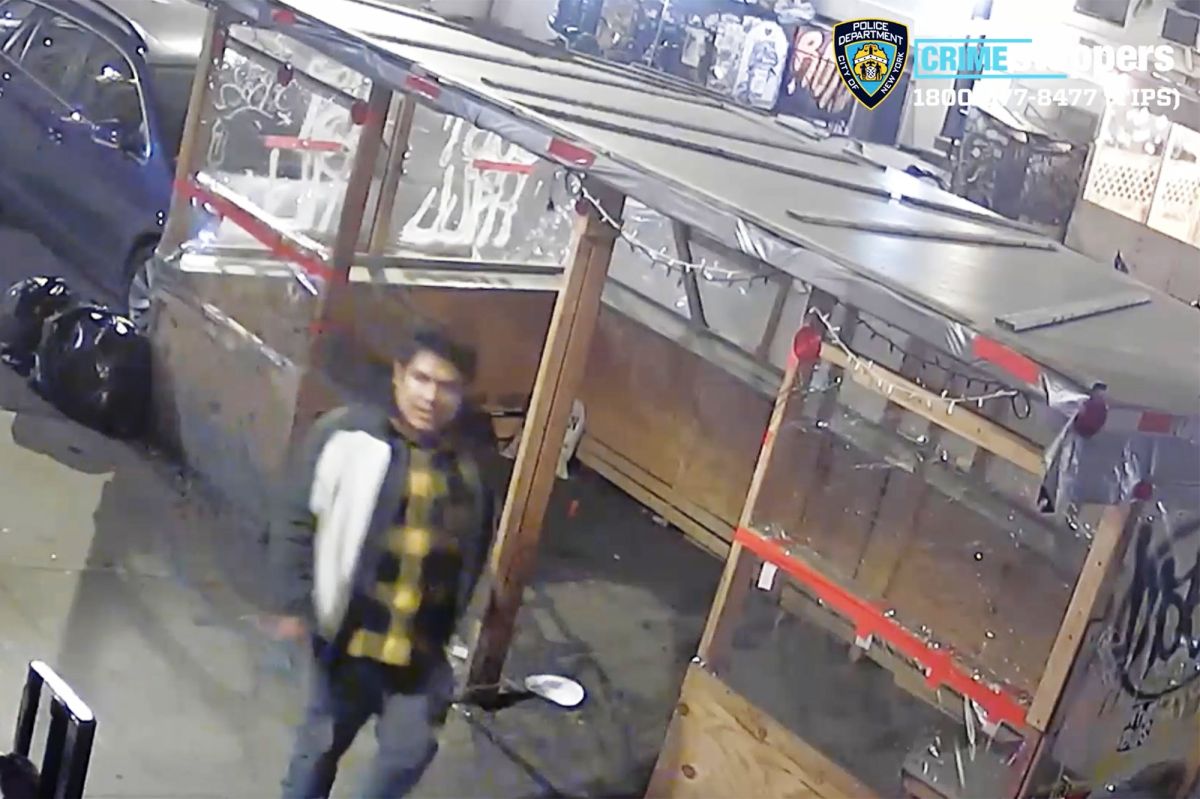 thief-tried-to-rape-a-woman-in-her-lower-manhattan-building:-nypd-releases-video-of-suspect