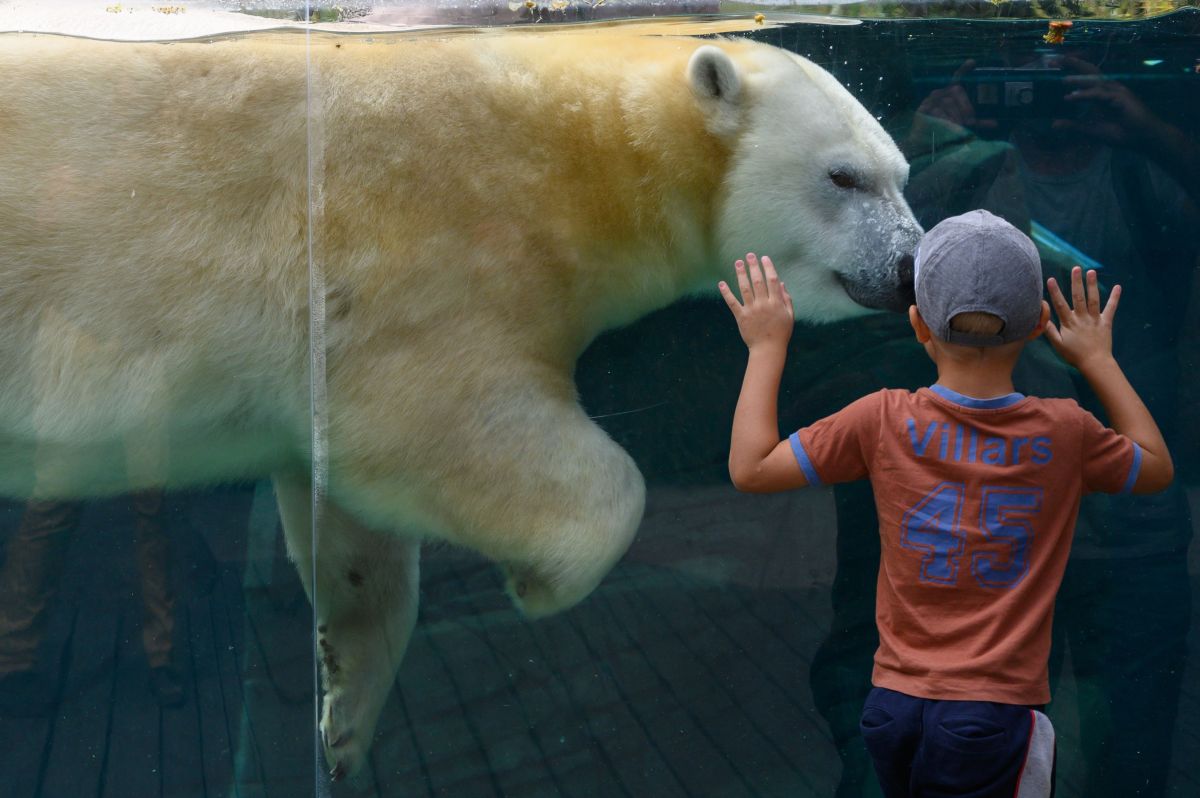 mother-who-threw-her-3-year-old-daughter-into-a-bear-pit-at-uzbekistan-zoo-charged-with-attempted-murder