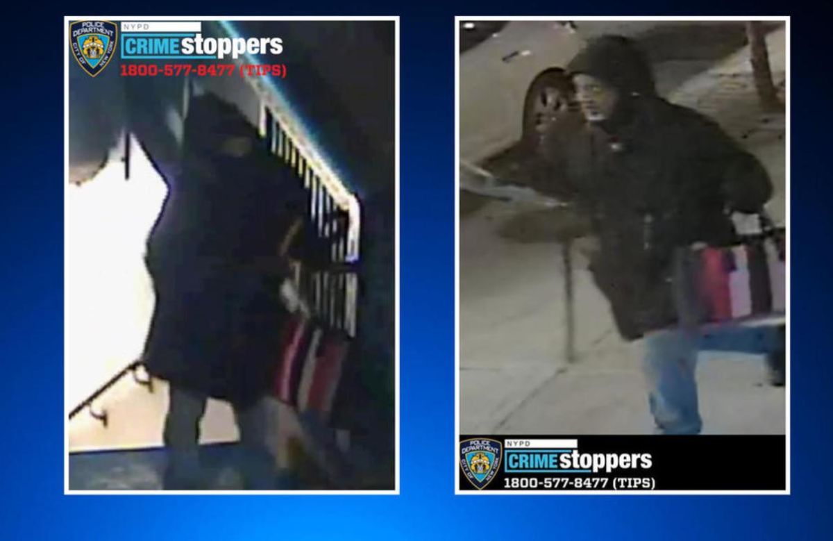 scientist-injured-by-a-hammer-in-the-new-york-subway:-they-arrest-an-attacker-and-a-woman-who-used-a-stolen-credit-card