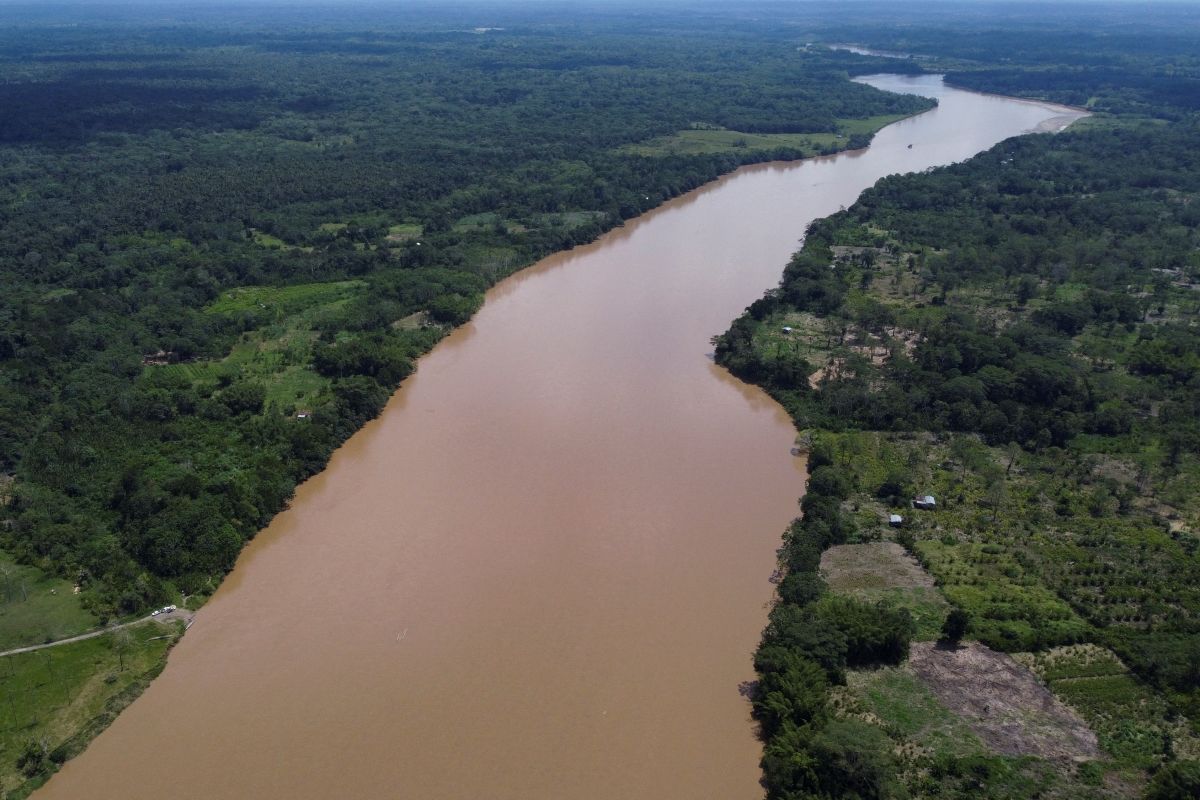 rescue-2-children-who-survived-4-weeks-lost-in-the-amazon