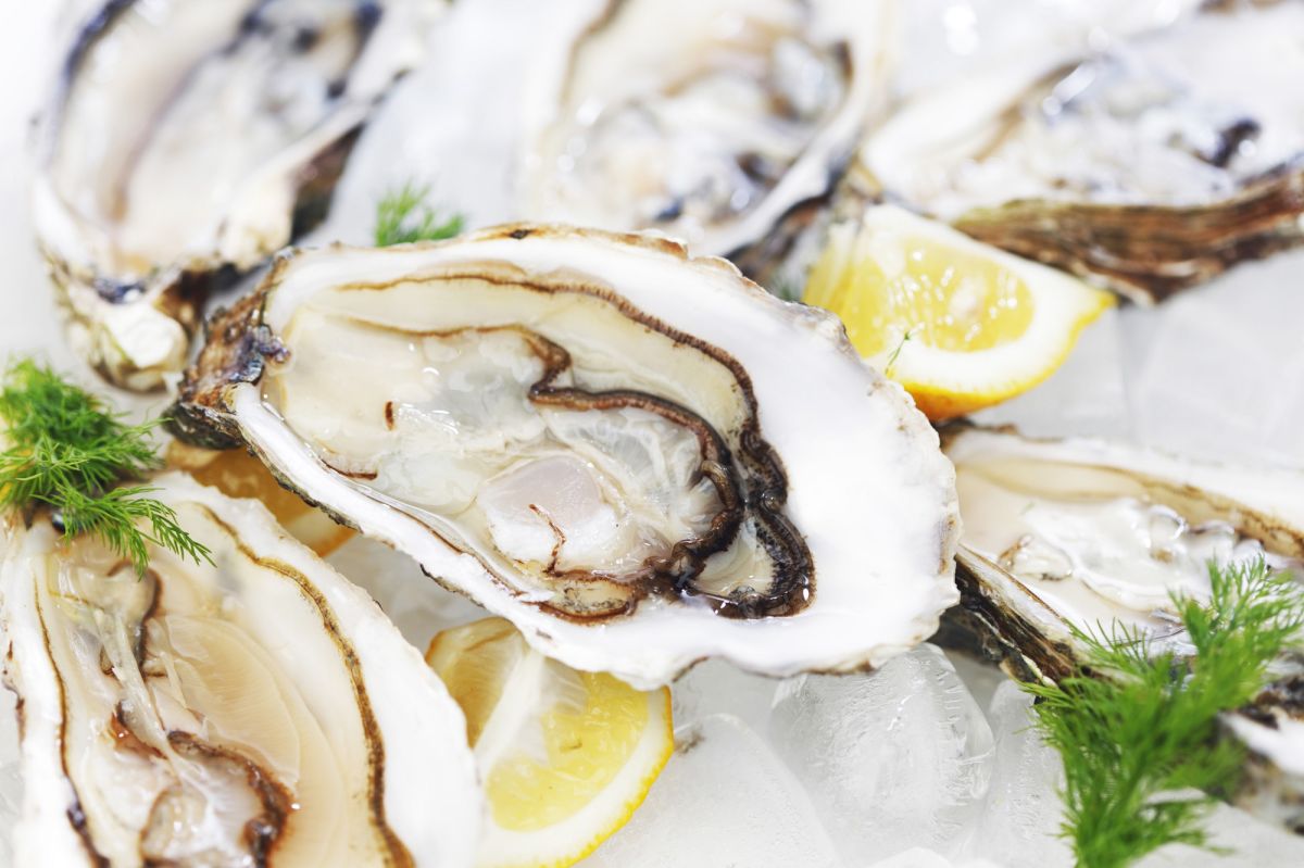 benefits-of-eating-oysters-worth-knowing