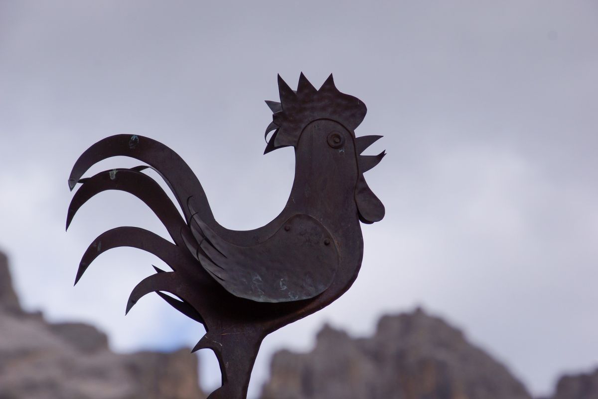 why-does-a-porcelain-rooster-symbolize-ukrainian-resistance?