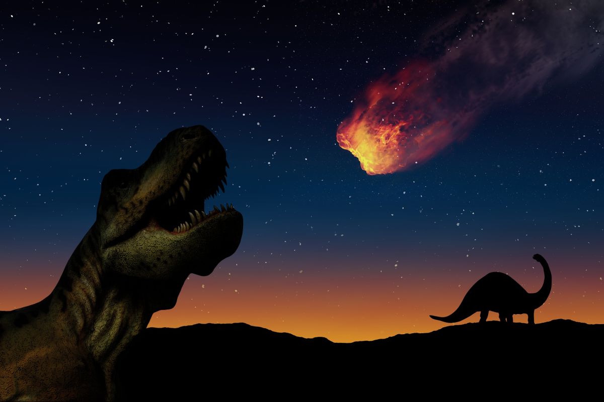 scientists-would-have-found-fragments-of-the-asteroid-that-killed-the-dinosaurs