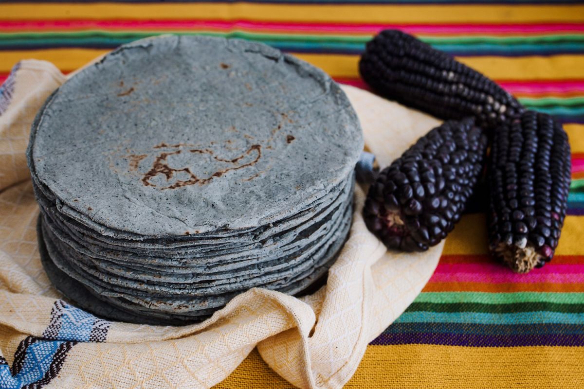 how-to-make-homemade-corn-tortillas-from-scratch