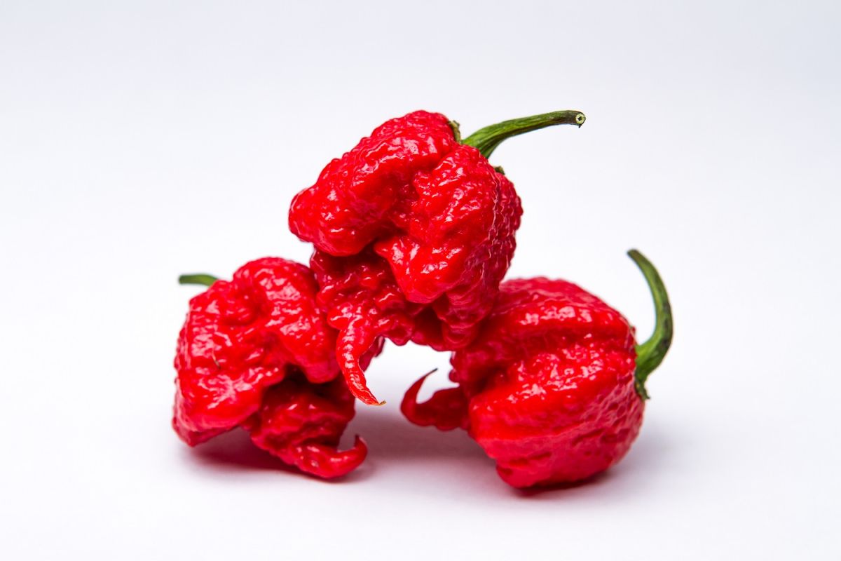 californian-eats-3-carolina-reaper,-the-hottest-peppers,-in-less-than-9-seconds