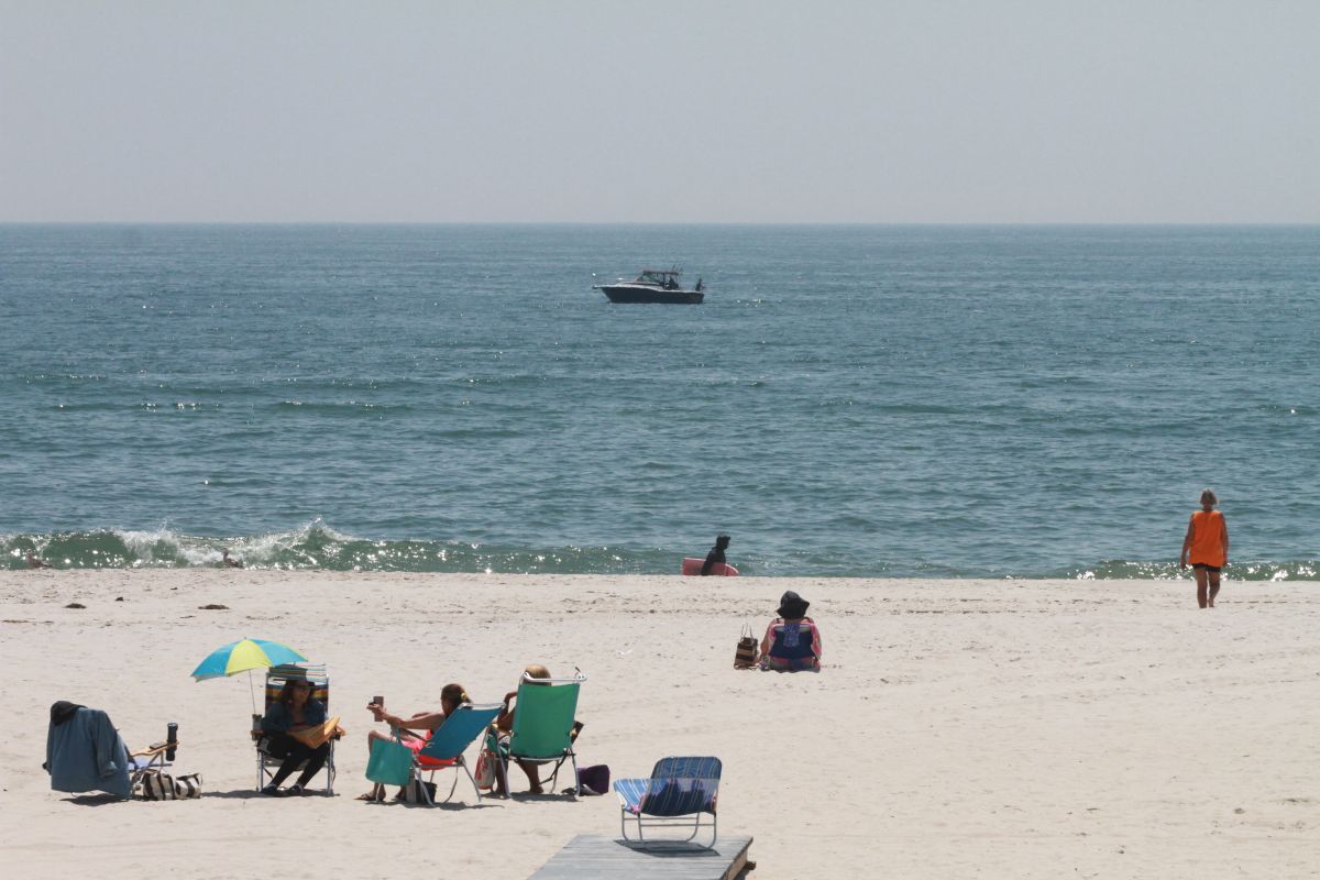 shark-bit-bather-on-new-york-beach:-authorities-launch-alert