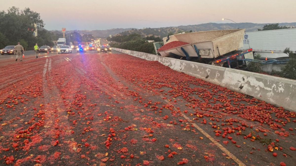 nearly-300,000-tomatoes-scattered-on-california-highway-after-truck-accident