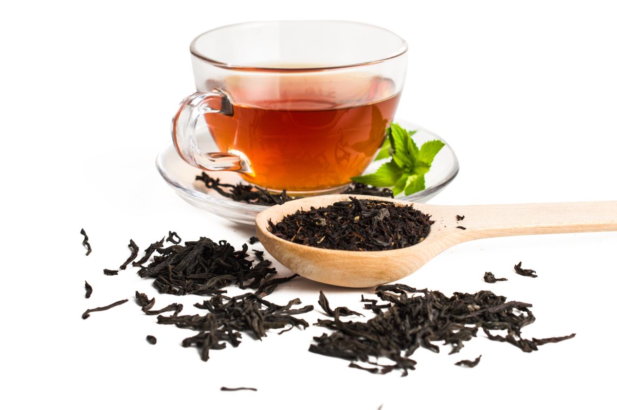 large-study-links-consumption-of-black-tea-with-a-lower-risk-of-mortality