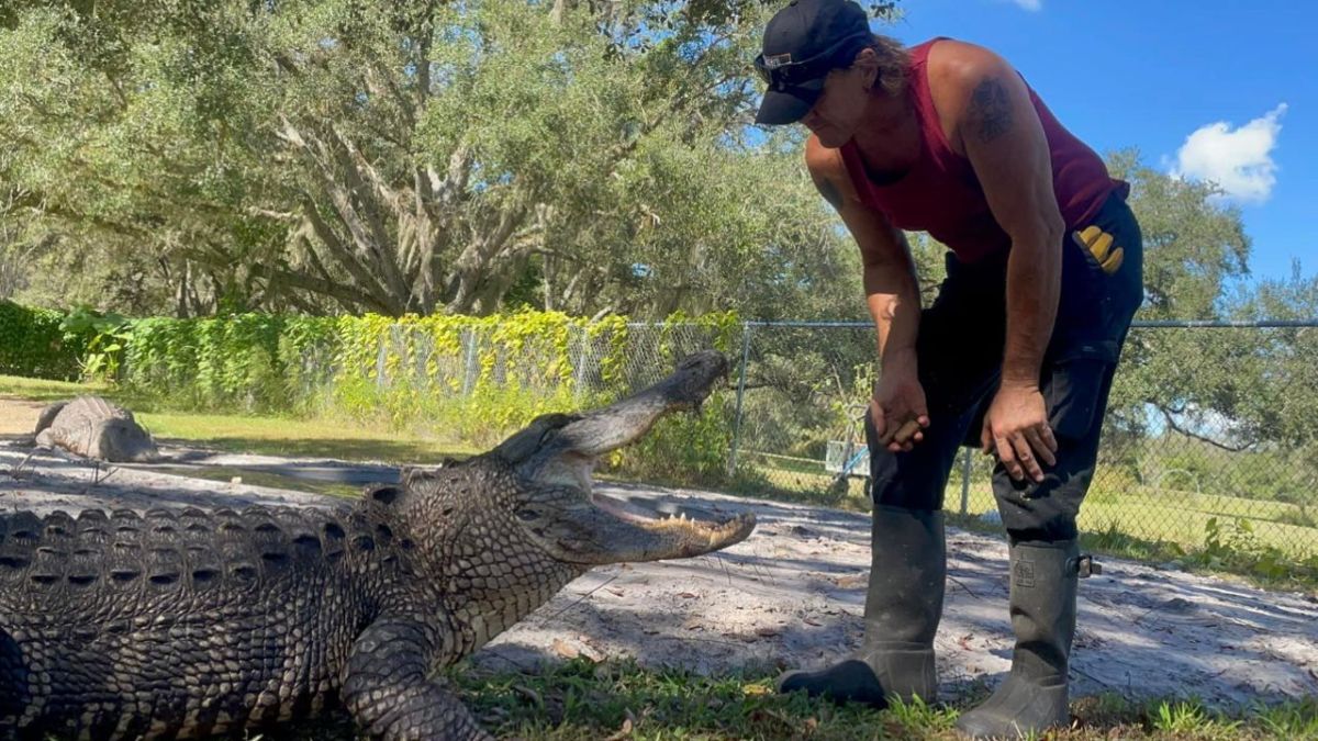 wildlife-expert-loses-part-of-his-left-arm-after-alligator-attack-in-florida