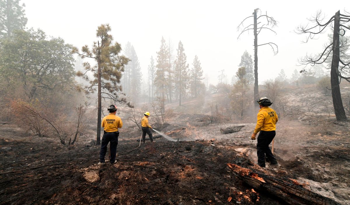 utah-man-accused-of-starting-a-forest-fire-by-trying-to-burn-a-spider