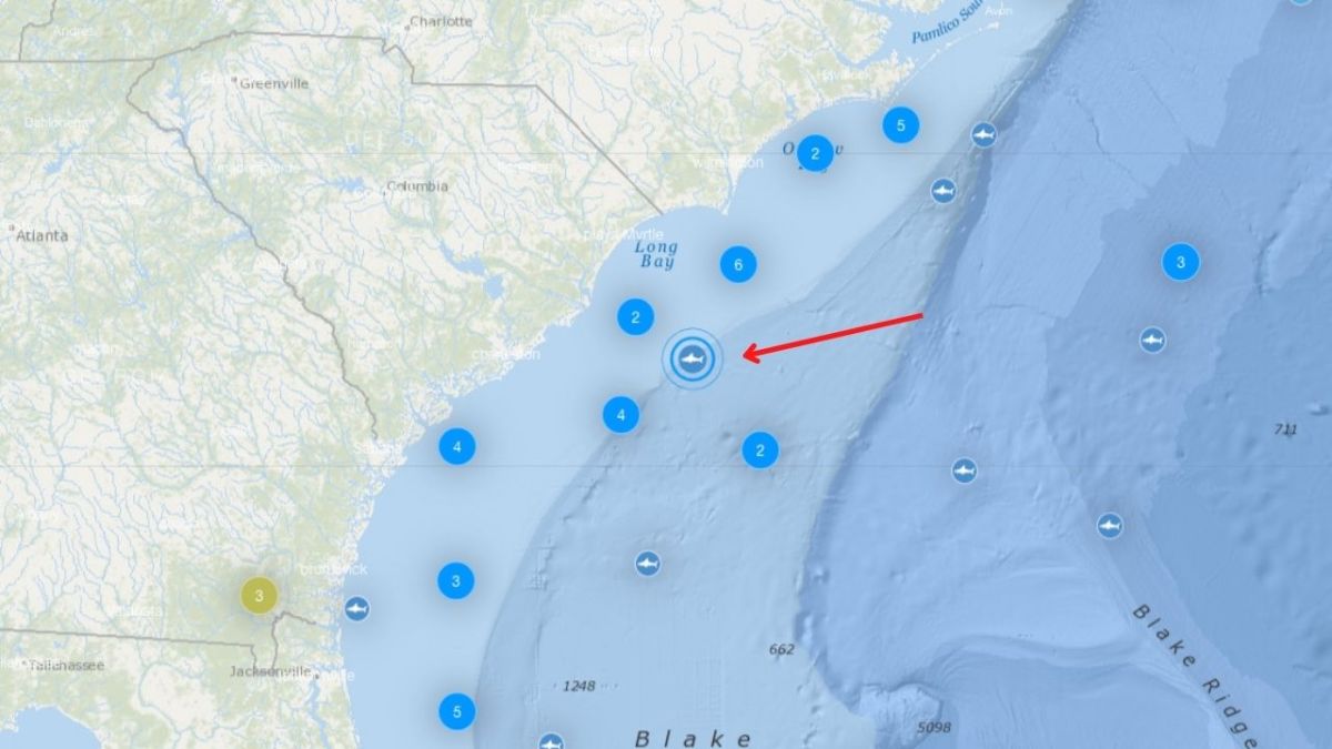 “breton,”-a-13-foot,-1,500-pound-great-white-shark,-tracked-off-the-coast-of-south-carolina