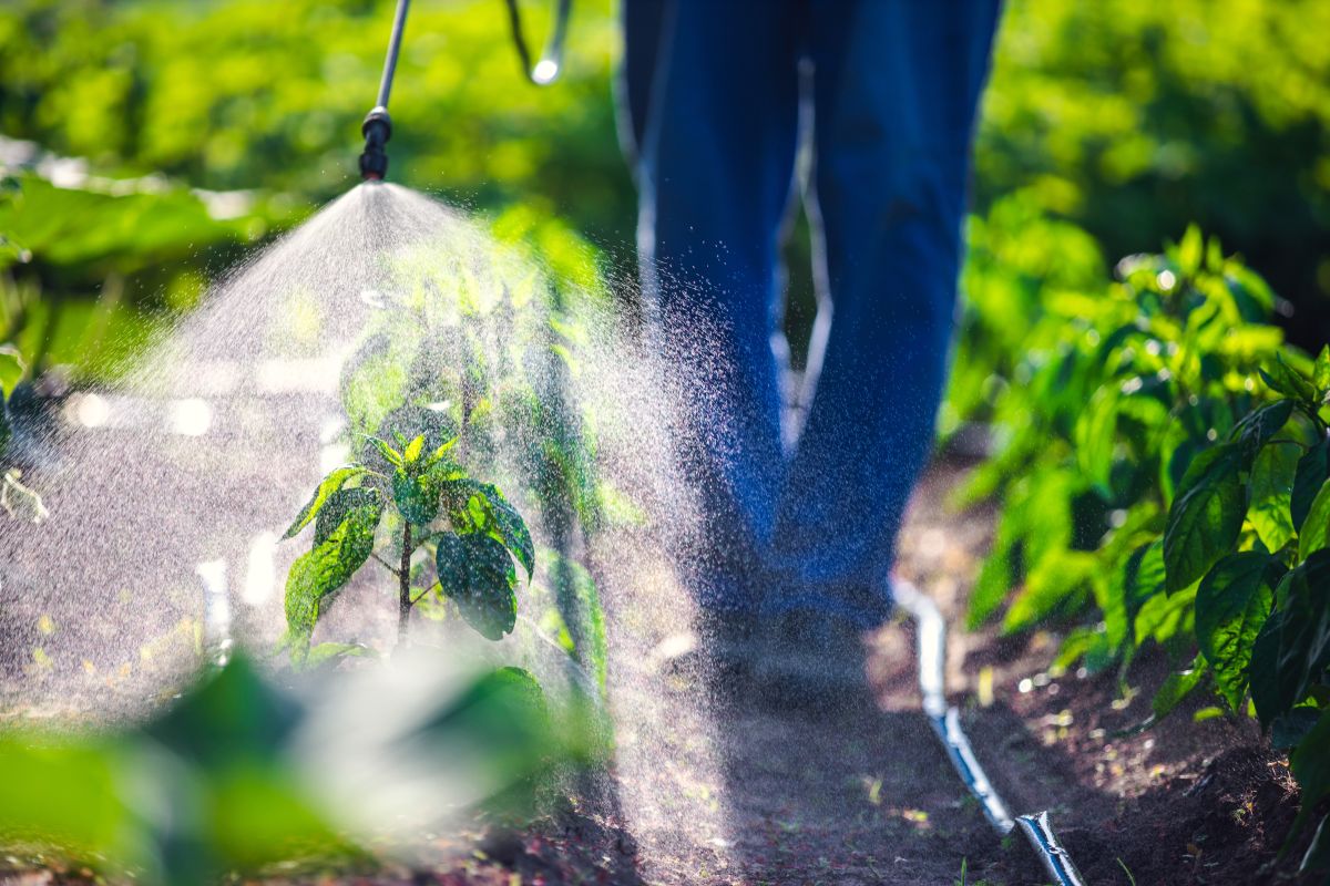 “pesticides-left-us-sterile”