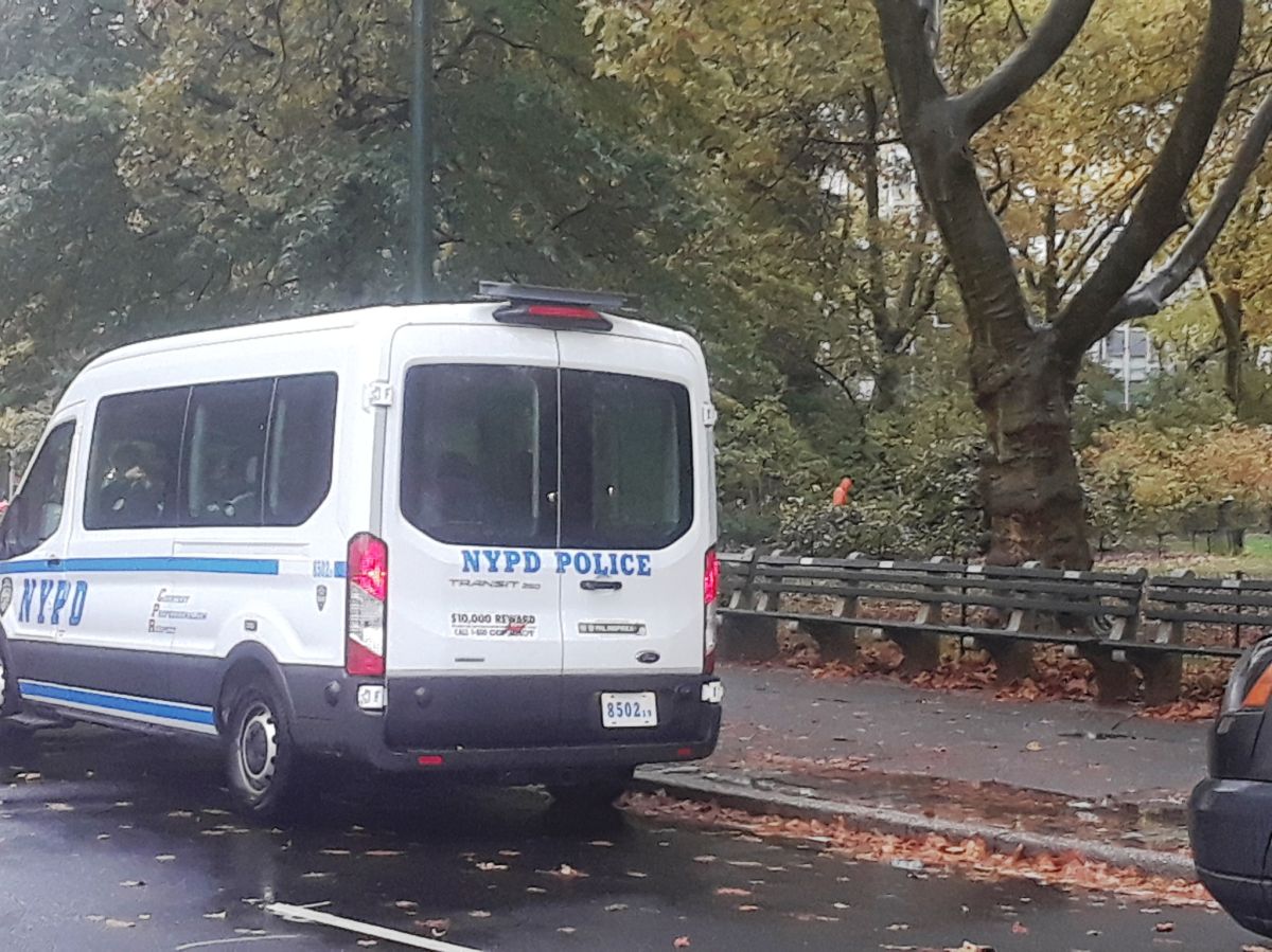 decomposed-body-of-young-man-found-in-lake-in-new-york's-central-park