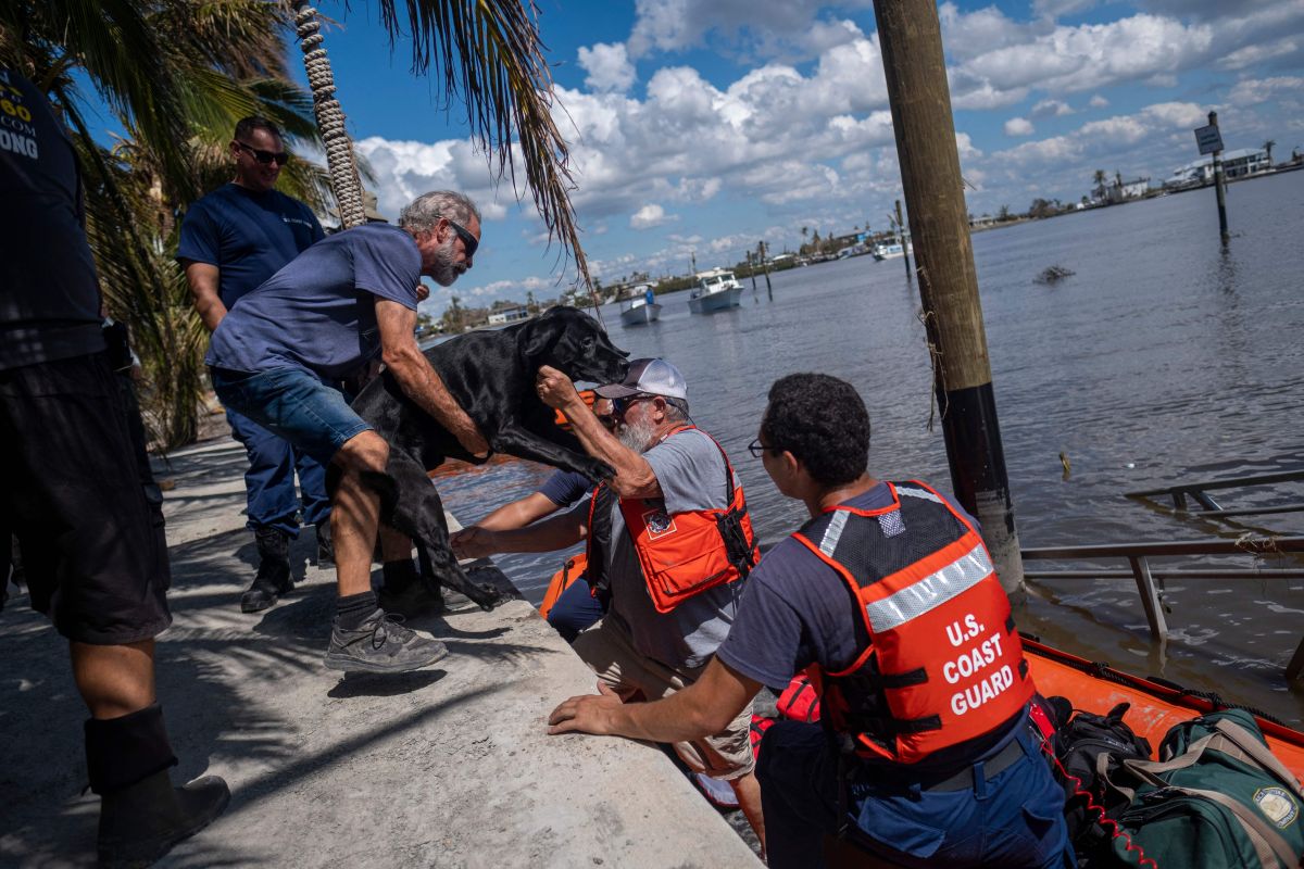 alert-about-possible-encounters-with-animals-in-areas-of-florida-impacted-by-ian