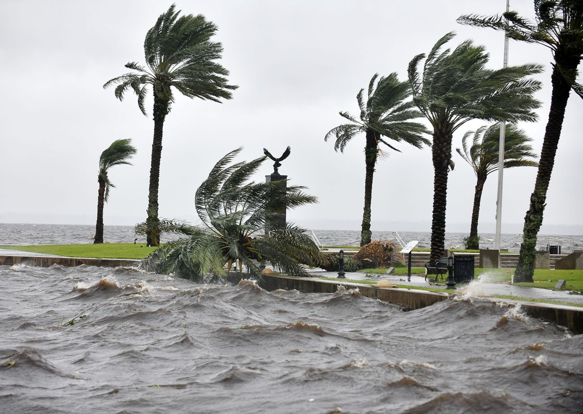 man-swam-half-a-mile-through-floodwaters-from-hurricane-ian-to-rescue-his-mother