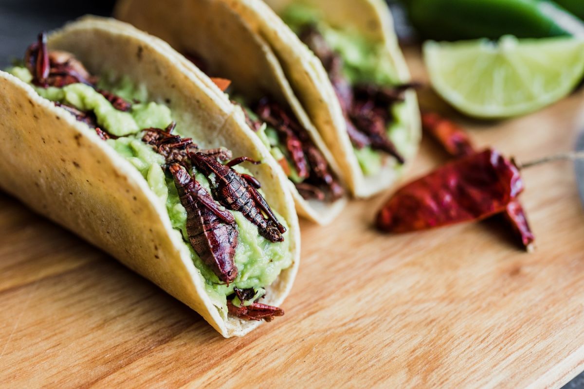 10-recipes-to-celebrate-national-taco-day-every-day