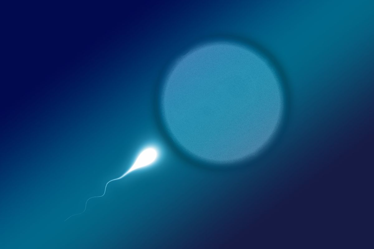 frozen-sperm-baby-born-in-1996;-scientists-think-it-could-work-after-centuries-of-storage