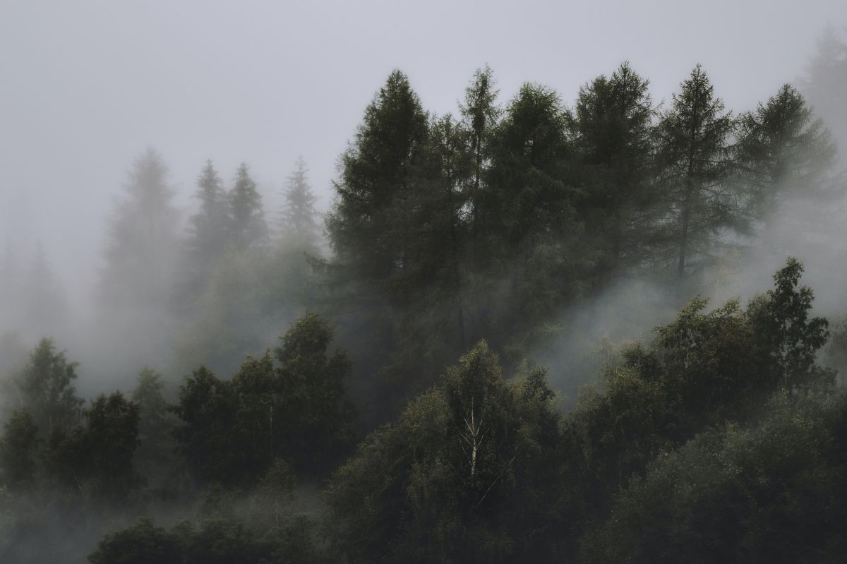 20-year-old-hiker-found-dead-in-new-hampshire-after-several-days-of-searching