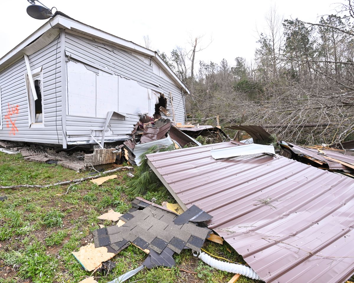 mother-and-8-year-old-son-died-in-alabama-after-a-pine-tree-fell-on-their-mobile-home-while-they-were-sleeping-as-a-result-of-tornadoes