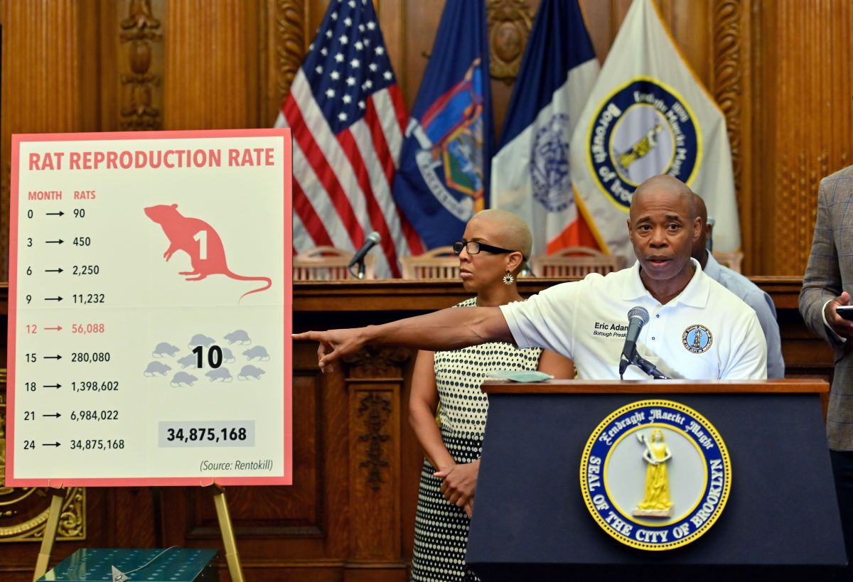 new-york-wants-to-hire-a-rat-exterminator-“with-a-killer-instinct”-to-deal-with-the-plague