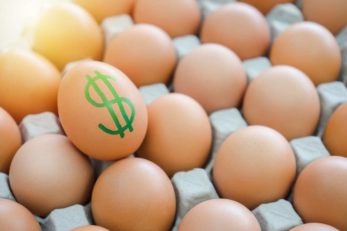 eggs-reach-a-record-price-in-the-us:-why-they-sell-so-expensive