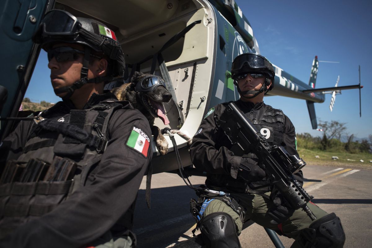 four-criminals-were-killed-in-a-confrontation-with-the-police-of-the-mexican-state-of-veracruz