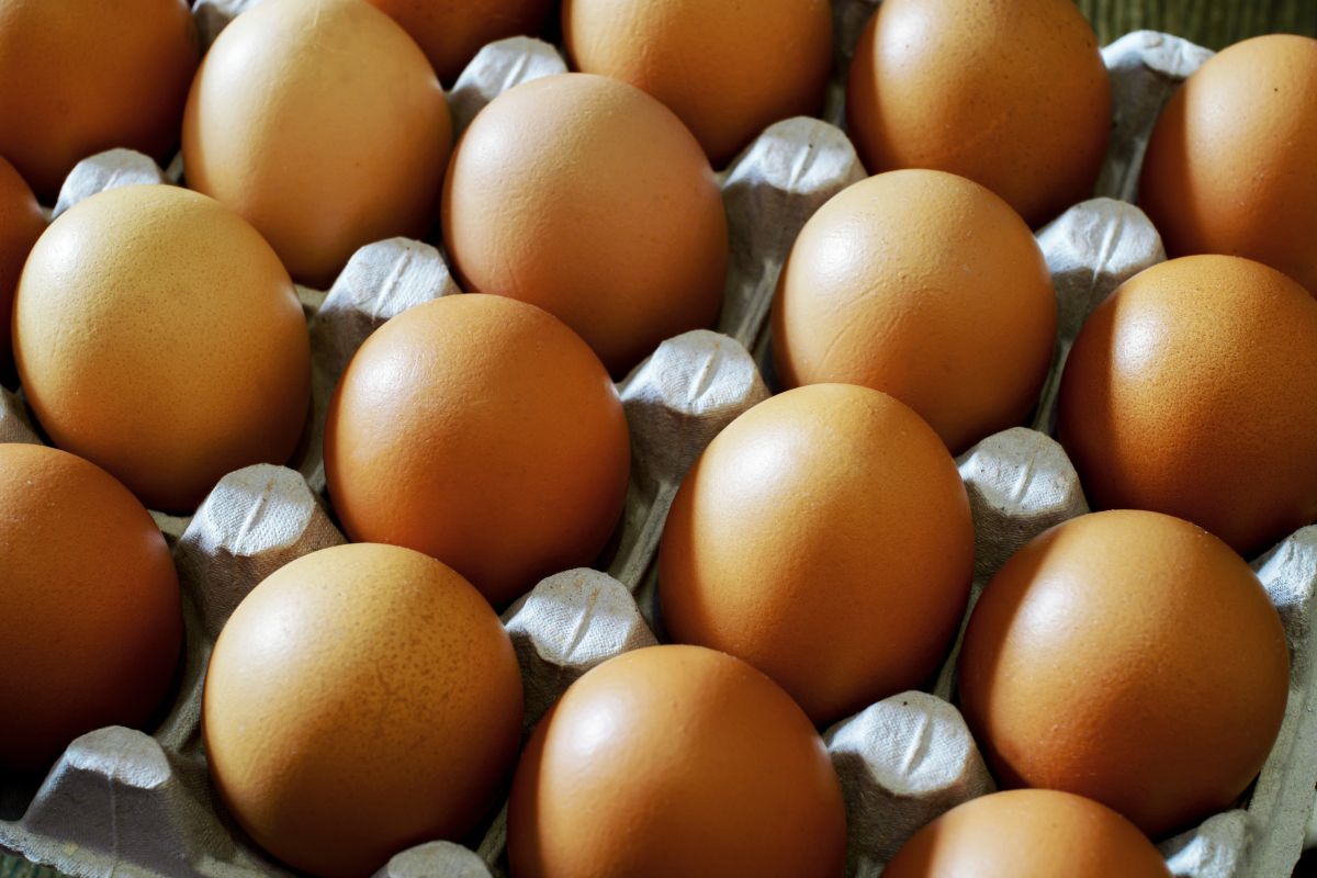 authorities-detect-an-increase-in-egg-smuggling-from-mexico-to-the-us-that-can-lead-to-fines-of-up-to-$10,000-dollars