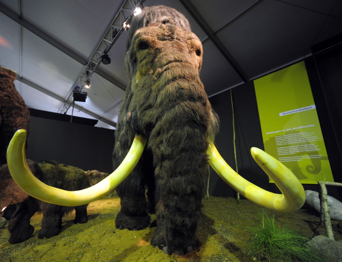 scientists-aim-to-“revive”-the-woolly-mammoth-by-2027