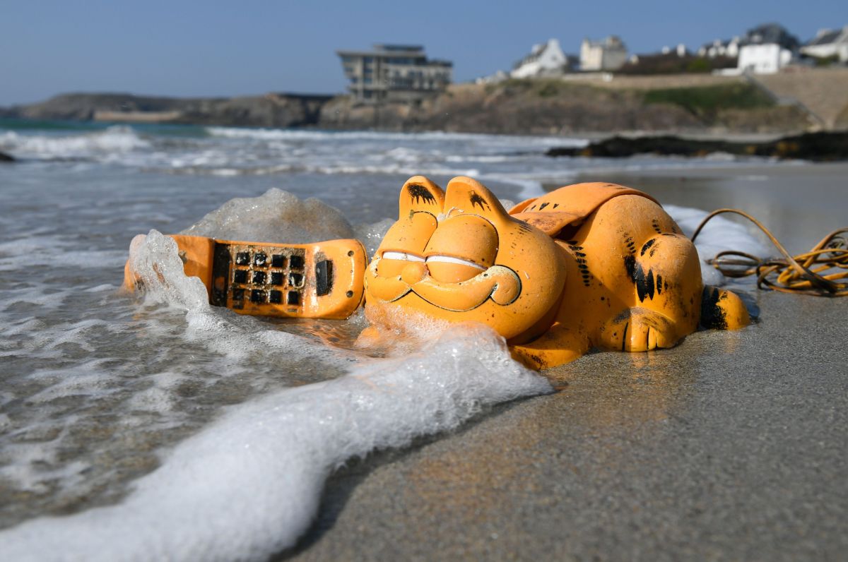 they-solve-the-mystery-of-garfield-the-cat's-phones-that-appeared-for-30-years-on-the-coasts-of-france