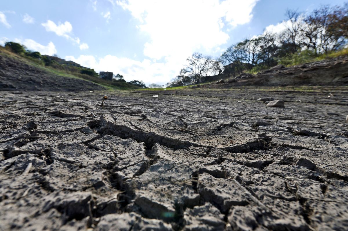 the-high-economic-costs-that-the-el-nino-phenomenon-in-2023-and-2024-will-bring-to-the-united-states-and-the-world