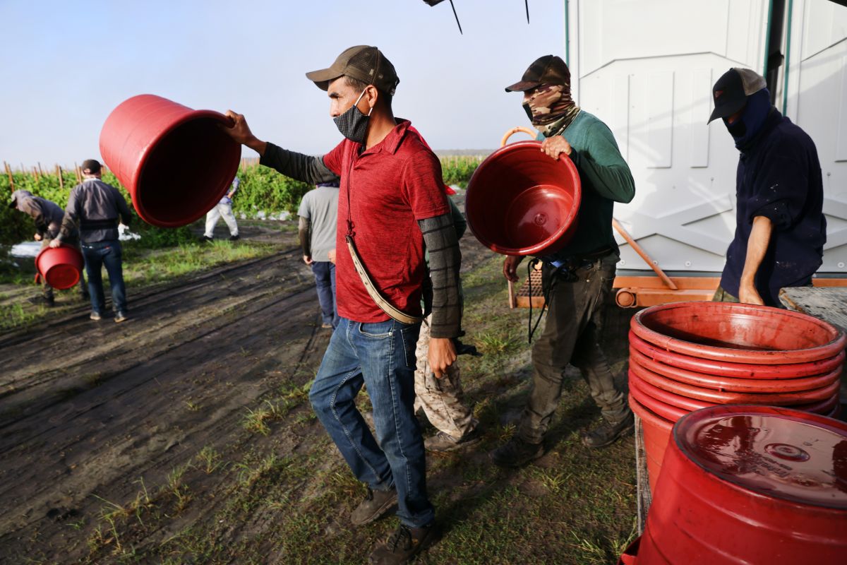 business-owners-in-florida-will-close-today-and-truckers-will-not-transport-goods-in-protest-against-ron-desantis'-anti-immigrant-measures-such-as-sb-1718