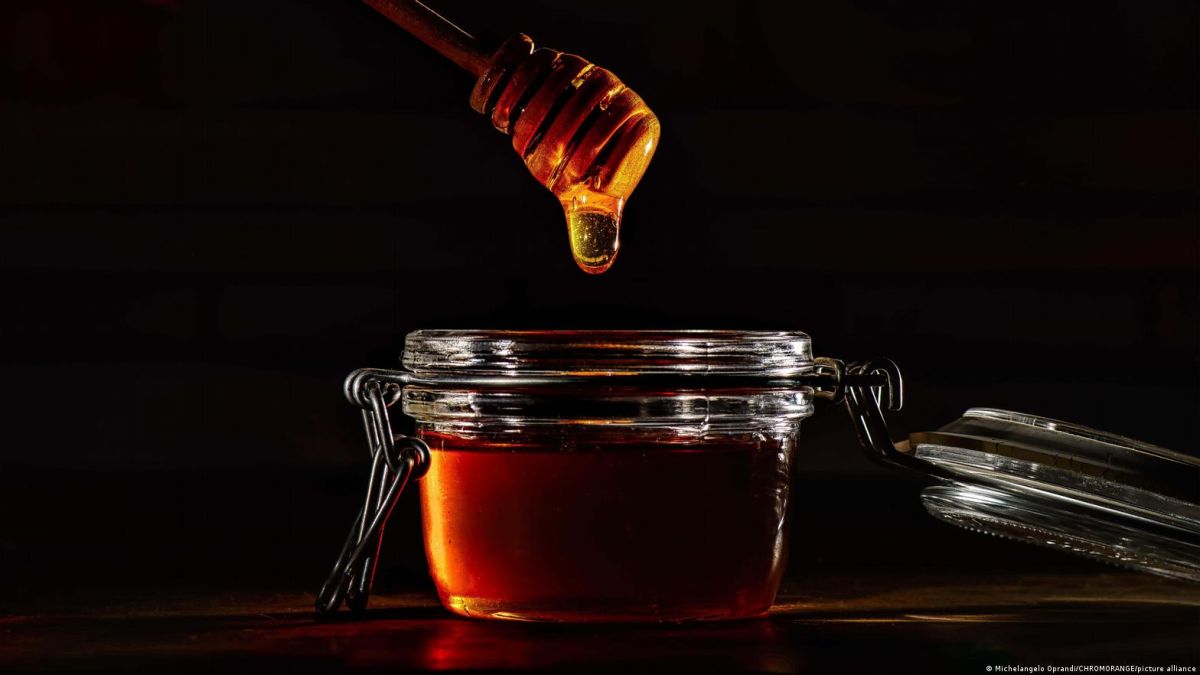 “something-that-is-not-honey-is-circulating-in-the-market”