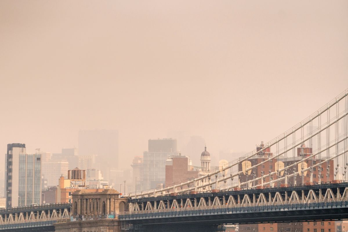 videos:-they-detect-mysterious-clouds-of-green-insects-in-the-streets-of-brooklyn-and-manhattan-and-even-in-the-subway-added-to-the-toxic-smoke-of-canada