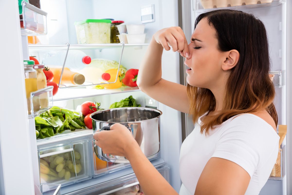 do-you-keep-the-pots-with-food-in-the-refrigerator?-contraindications-and-practical-advice