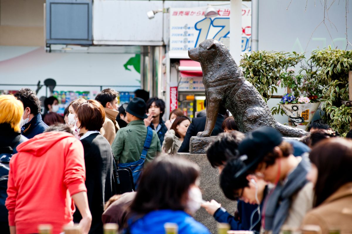 the-emotional-story-of-hachiko,-the-“most-faithful-dog-in-the-world”-whose-centenary-is-commemorated-this-year