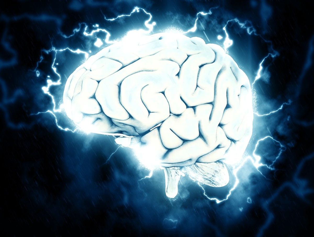 changes-in-the-weather-shrink-the-human-brain,-according-to-a-study