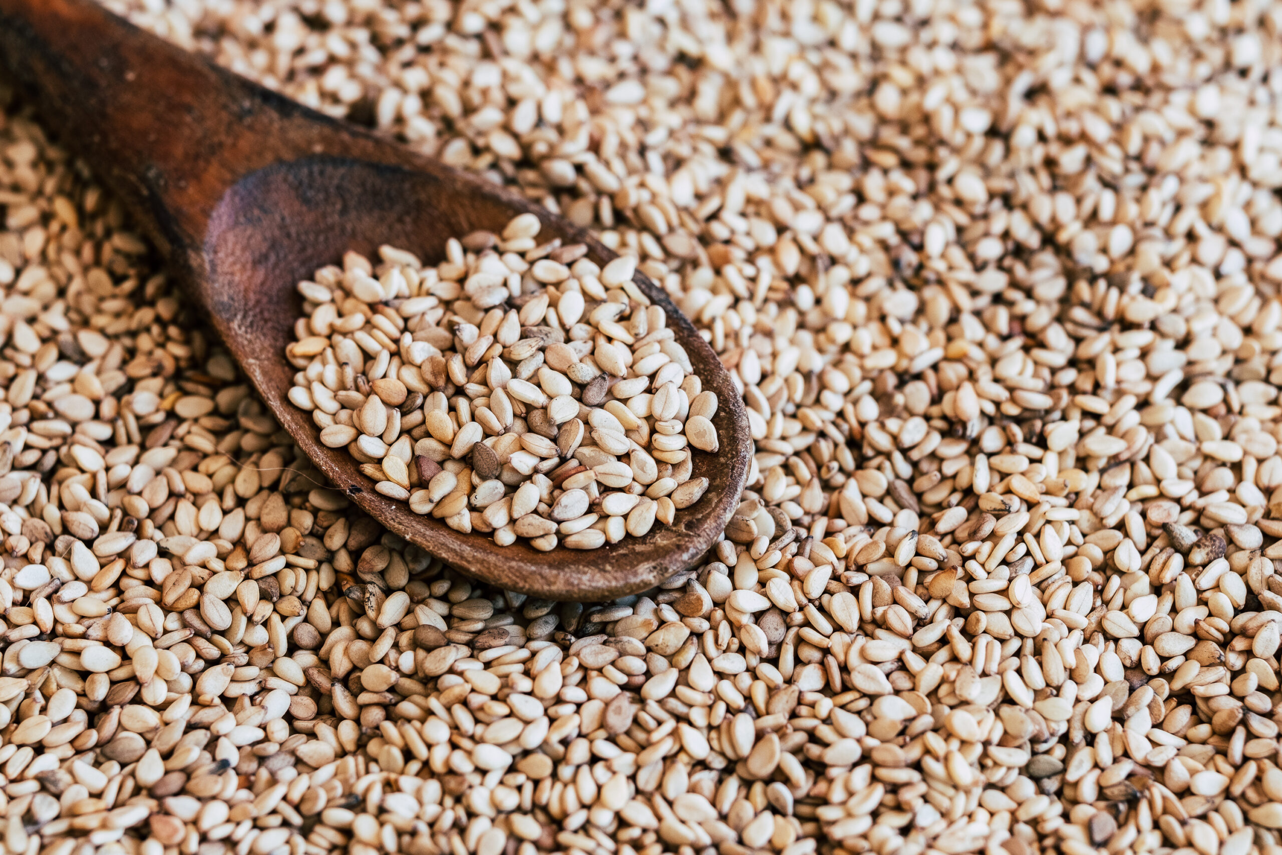 sesame-seeds,-a-source-of-nutrients-and-calcium:-benefits-of-adding-them-to-food