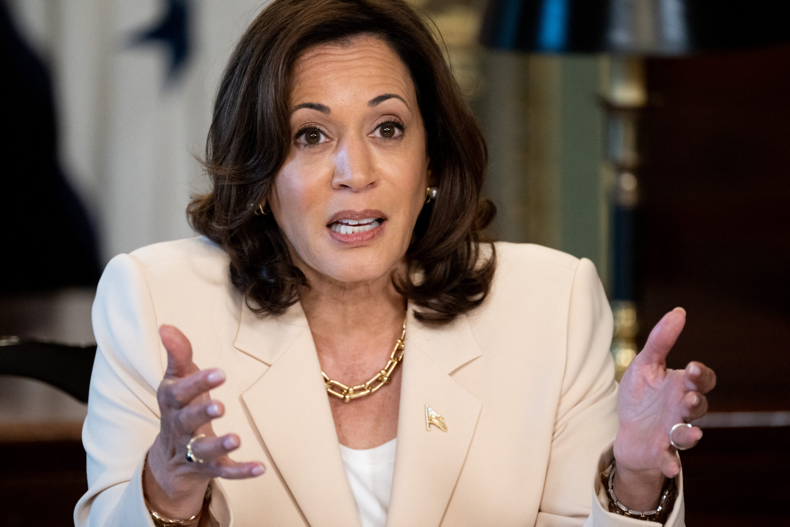 kamala-harris-tries-to-call-the-latino-vote-in-chicago-for-2024-with-a-speech-focused-on-the-economy