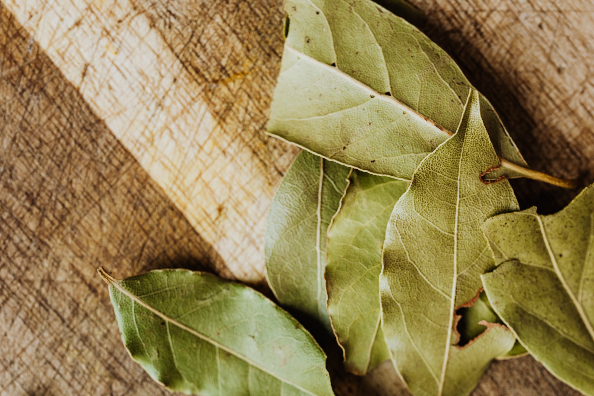 how-to-attract-money-by-placing-bay-leaves-in-your-wallet