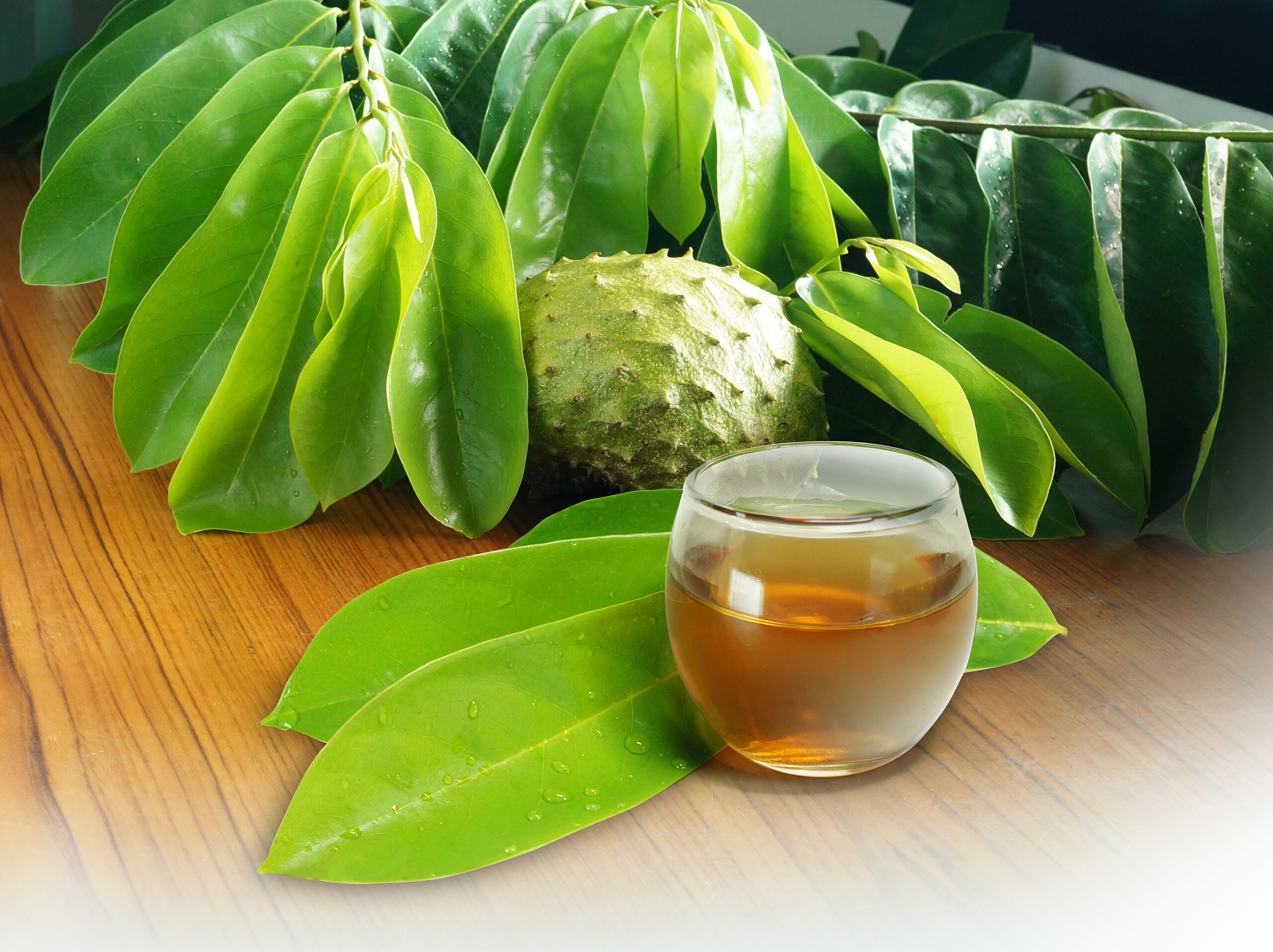 soursop-leaf-tea-–-controls-inflammation-and-improves-gut-health