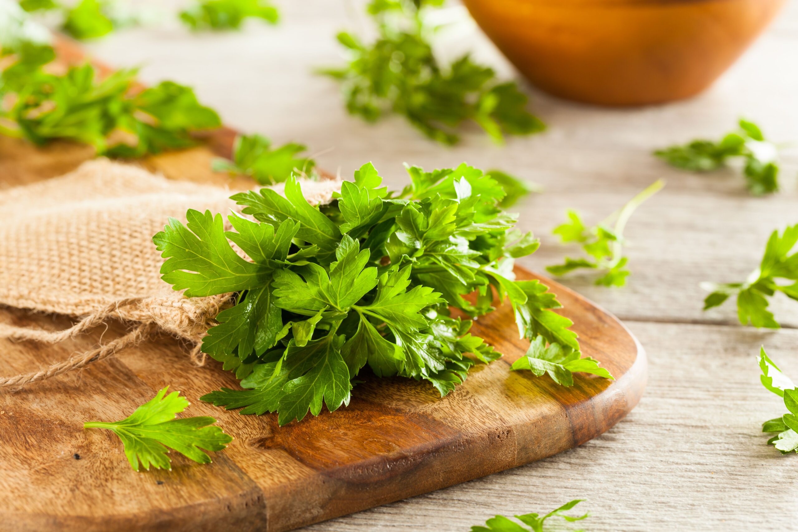 nutritious-treasure-parsley:-contains-more-vitamin-c-than-orange