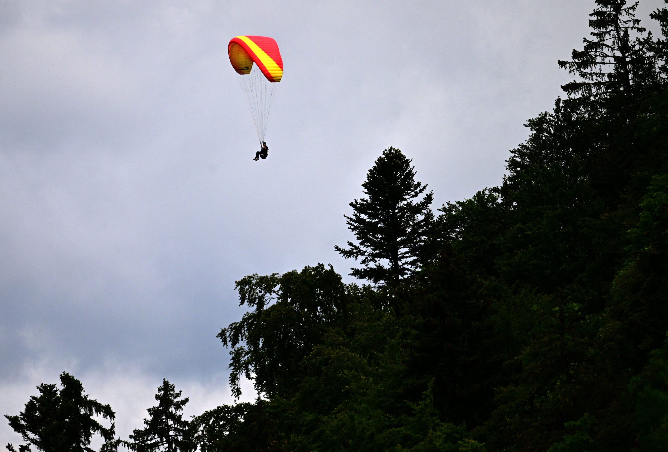 chicago-woman-becomes-world's-oldest-skydiver-at-104