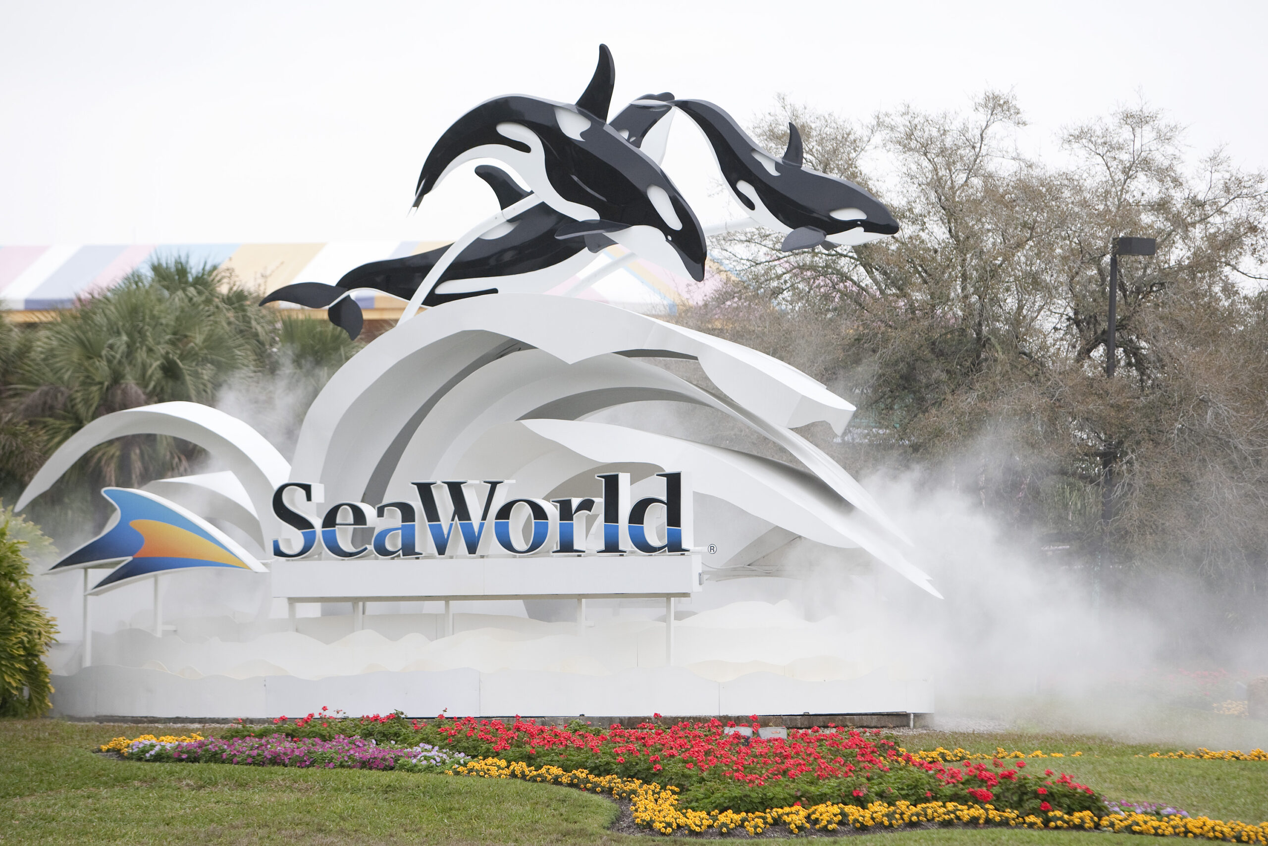 seaworld-orlando's-“inside-look”-program-opens-its-doors-to-the-public-for-marine-mammal-conservation