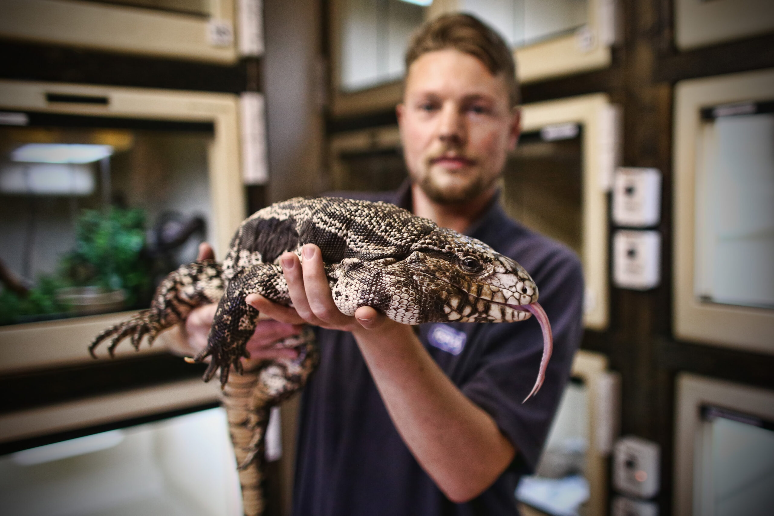 invasive-'giant-lizard'-discovered-by-children-in-georgia-neighborhood-under-woman's-porch