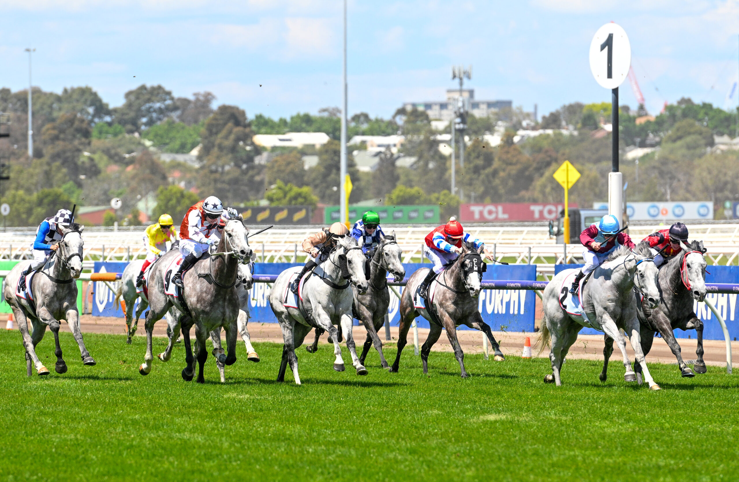 homeless-man-bets-just-over-$3-and-wins-$68,000-in-melbourne-horse-race