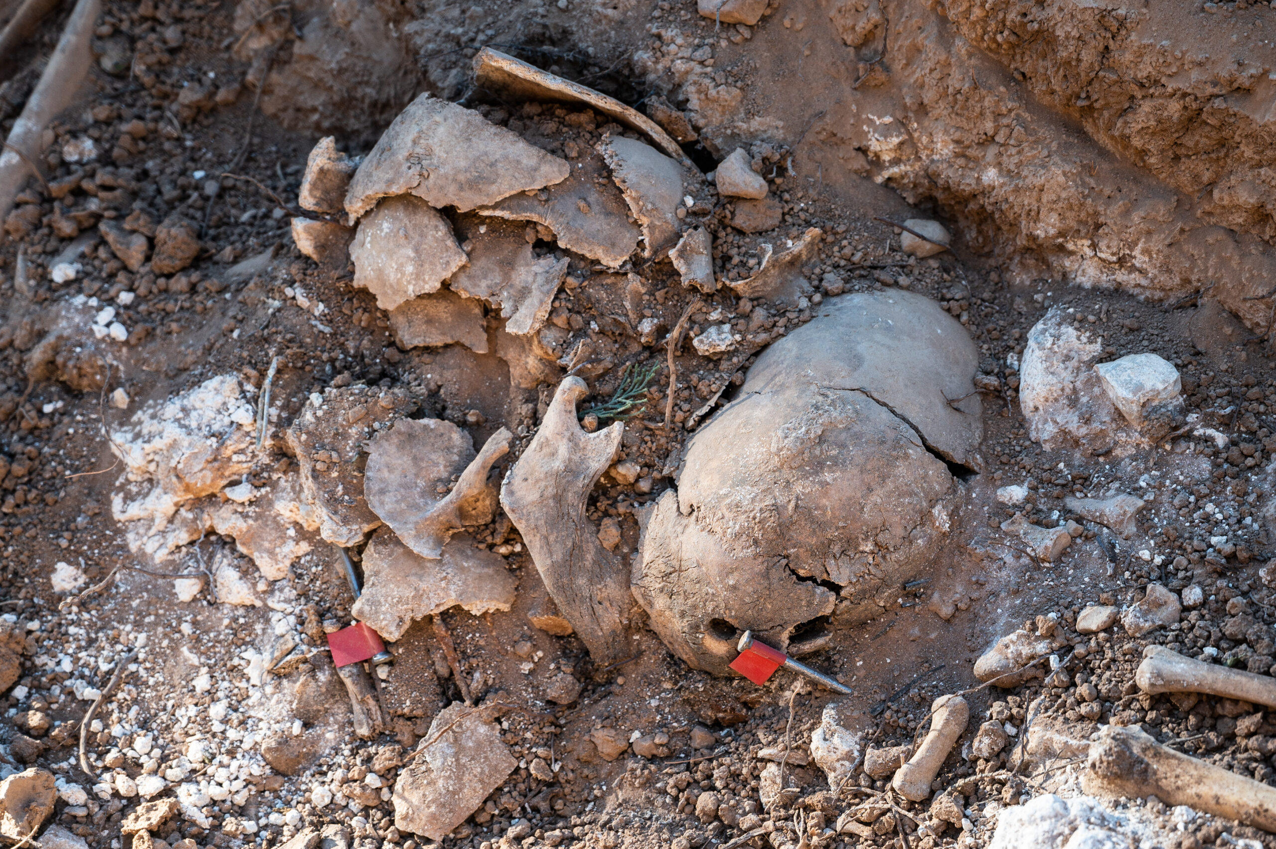 mysterious-iron-age-bone-pit-reveals-evidence-of-ancient-ritual-sacrifice-in-spain