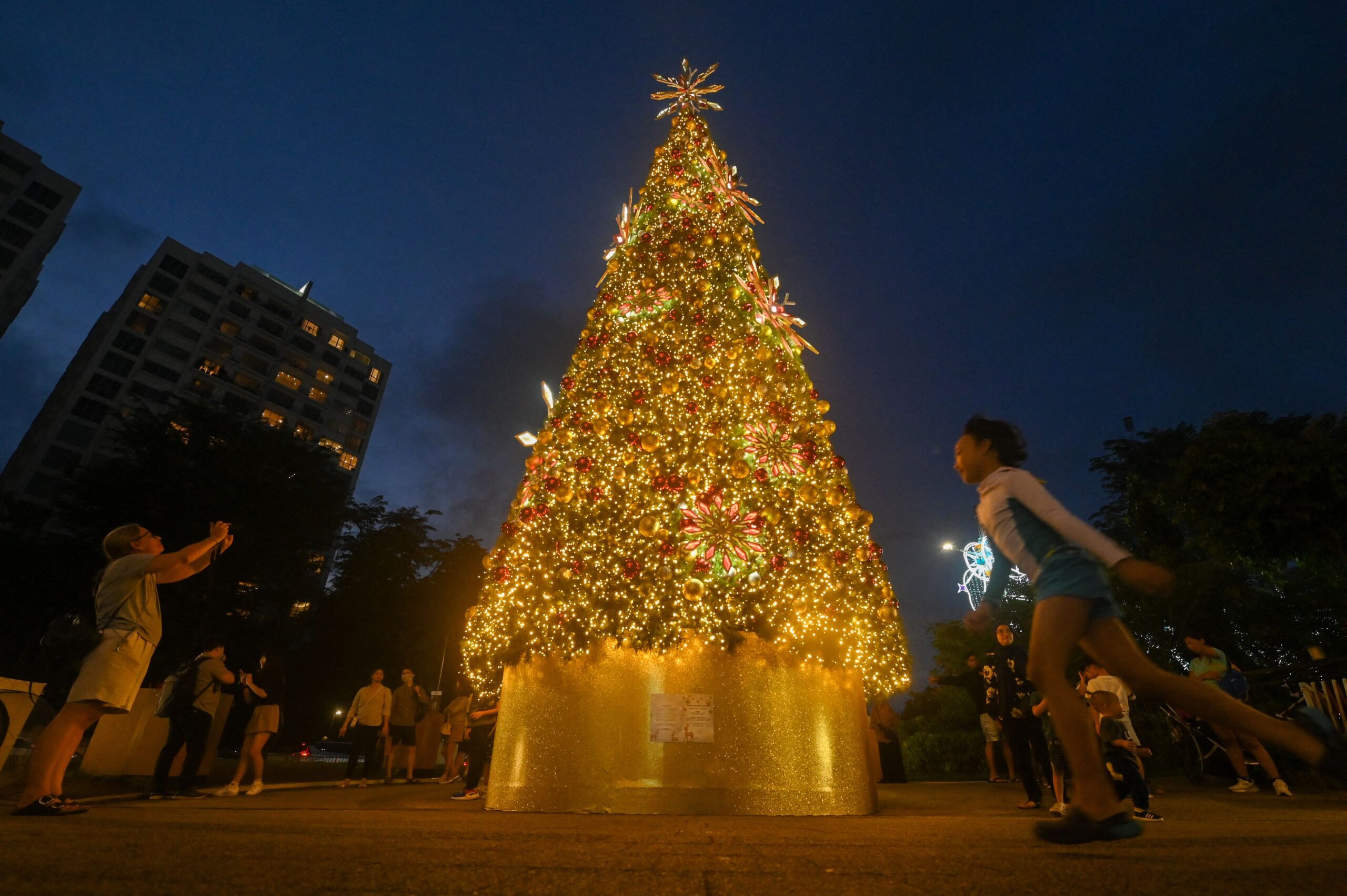 when-should-you-put-up-the-christmas-tree-to-attract-good-luck,-according-to-feng-shui