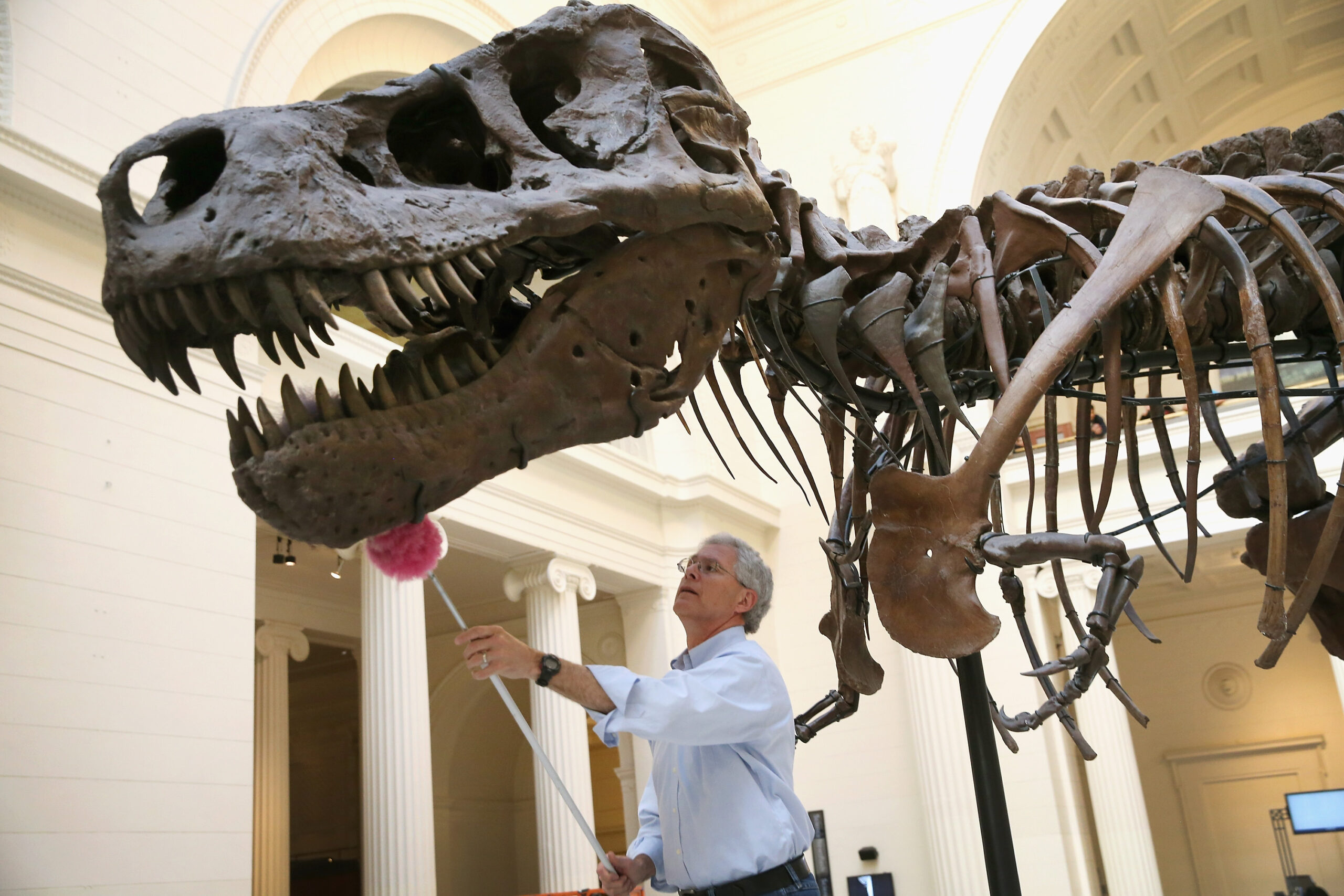 brothers-fight-over-the-inheritance-left-by-the-sale-of-the-skeleton-of-a-t-rex-after-the-death-of-its-owners