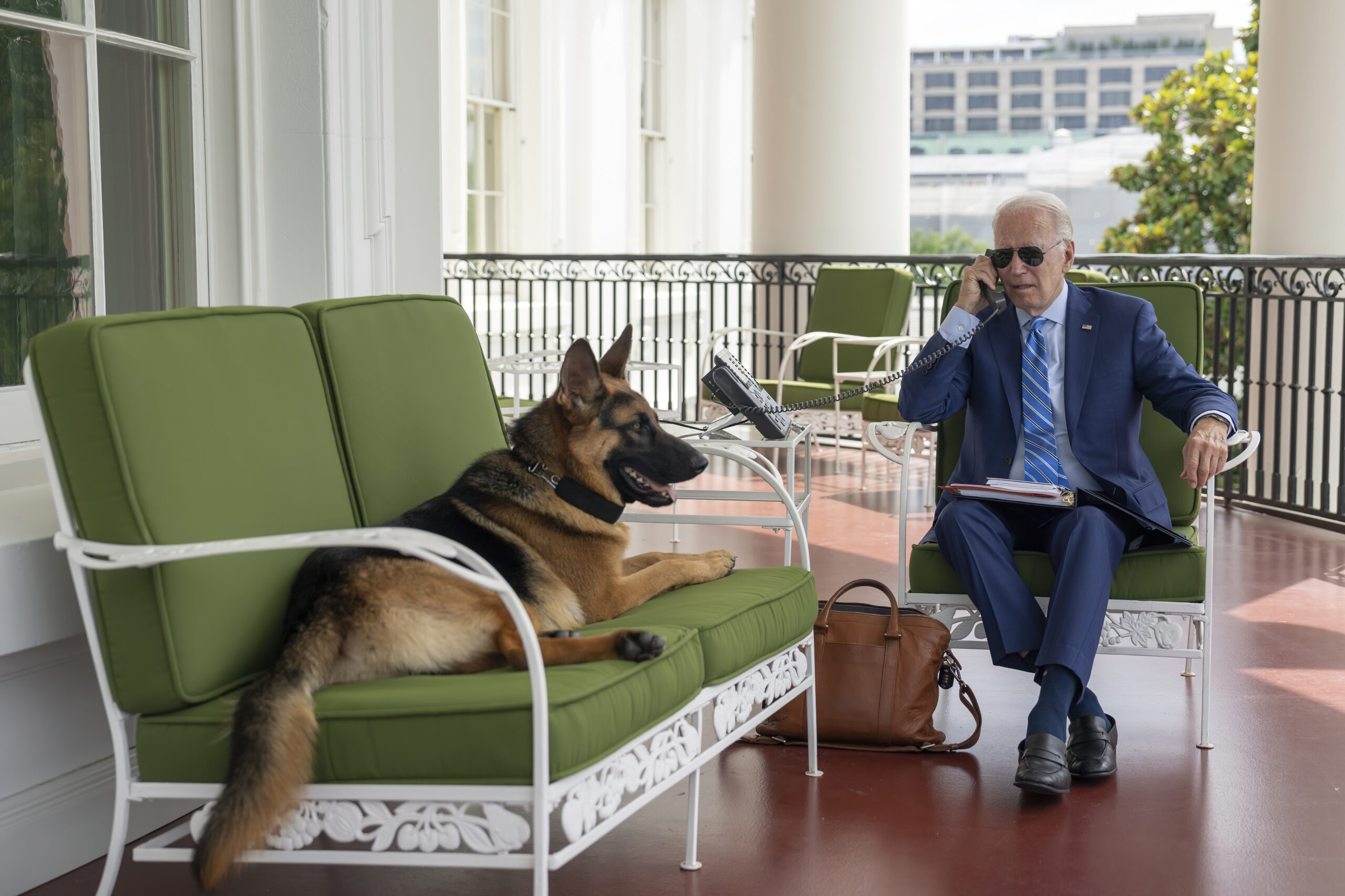 biden's-dog-commander-bit-secret-service-personnel-at-least-24-times