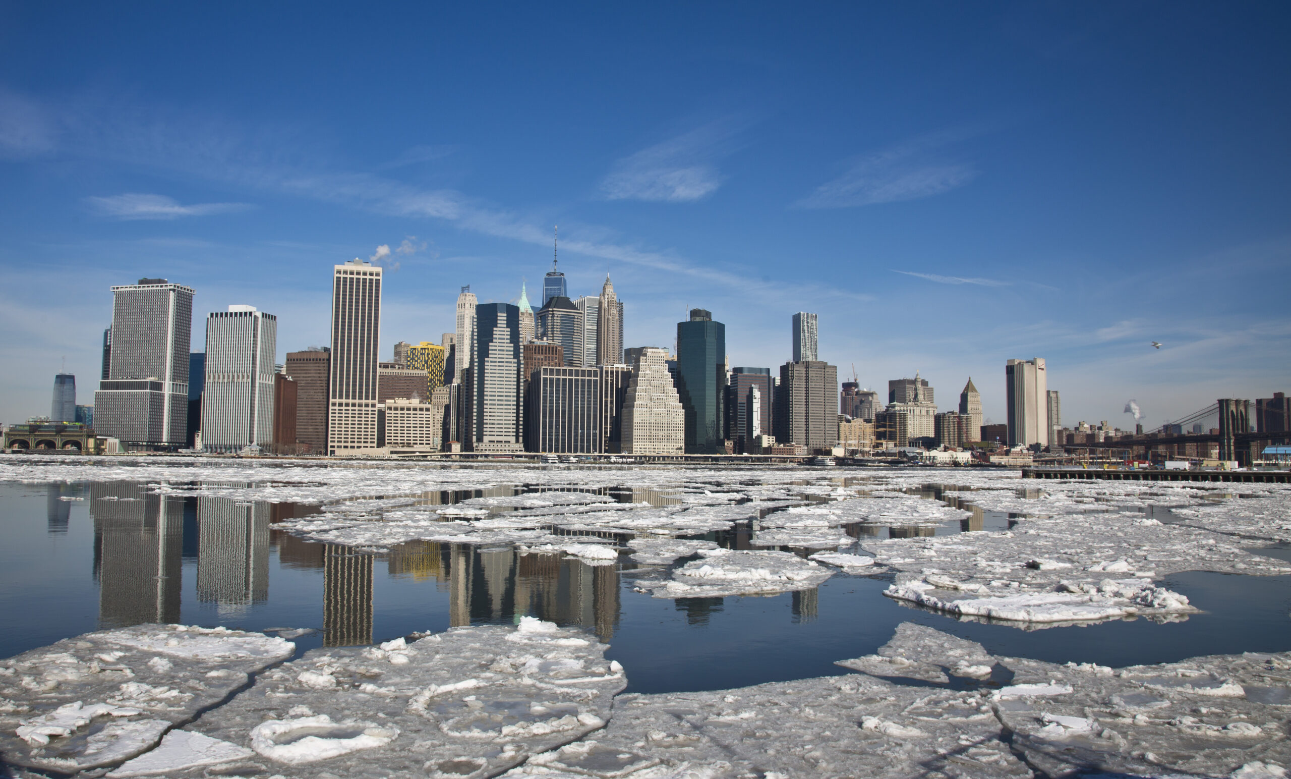 spring-is-coming-to-new-york,-temperatures-could-reach-60-degrees-by-midweek